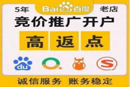 SEM运营公司案例解析：精准广告投放技巧
